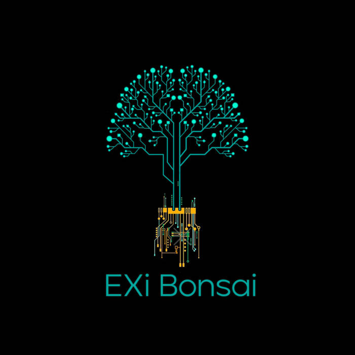 EXI BONSAI - Concerto Dj set